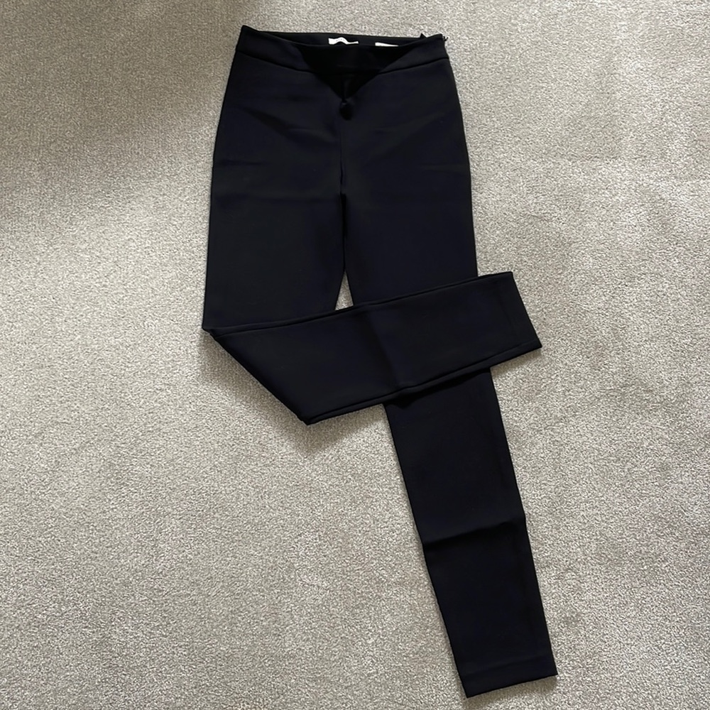 Barton / Aritzia scuba pants